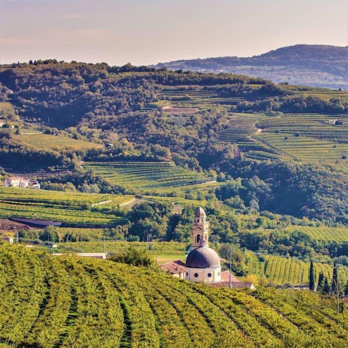 Holiday home Valpolicella: Residenza Olivo