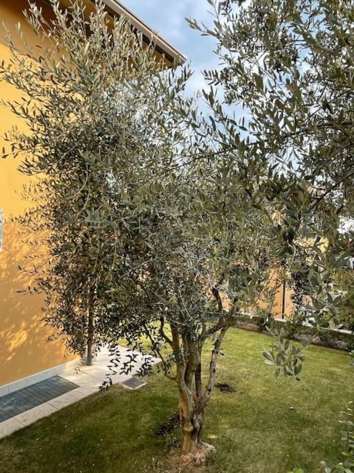 Valpolicella: Residenza Olivo Holiday home