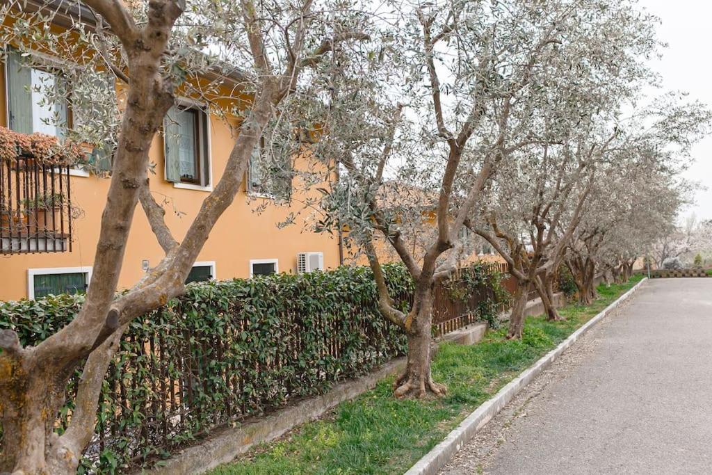 Valpolicella: Residenza Olivo Holiday home *
